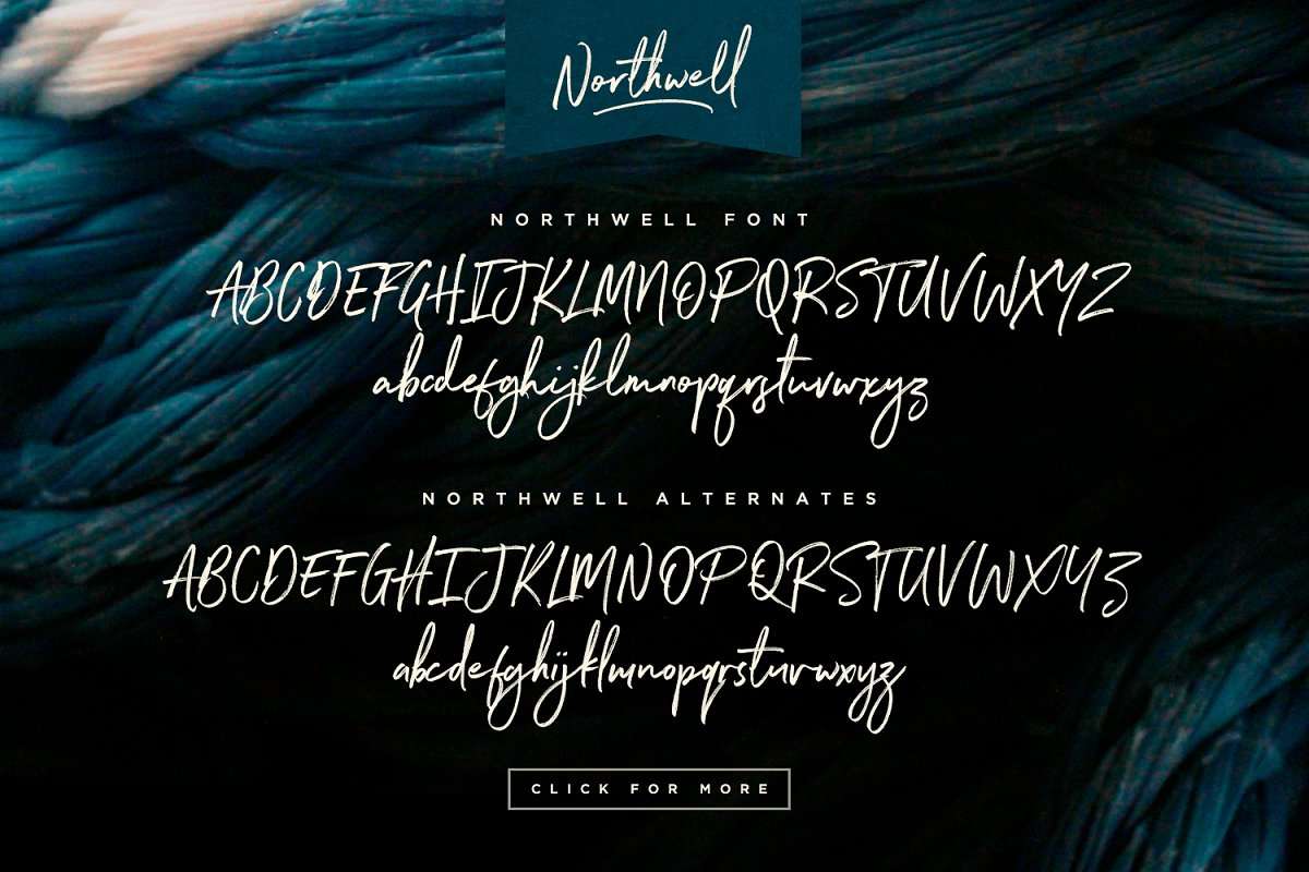 Northwell Font - Just The Skills