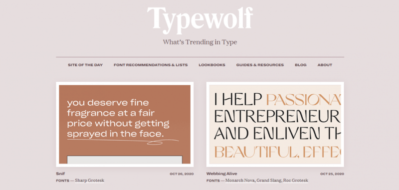 Asking Everything Important in Typography: Typewolf Reviewed