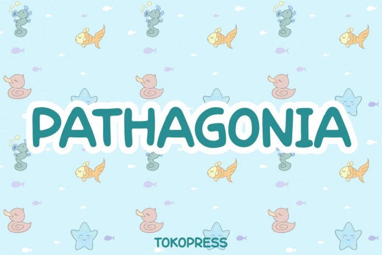 Cute Font Pathagonia