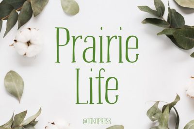 Cute Font Prairie Life