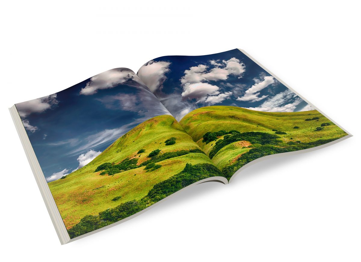 trifold brochures