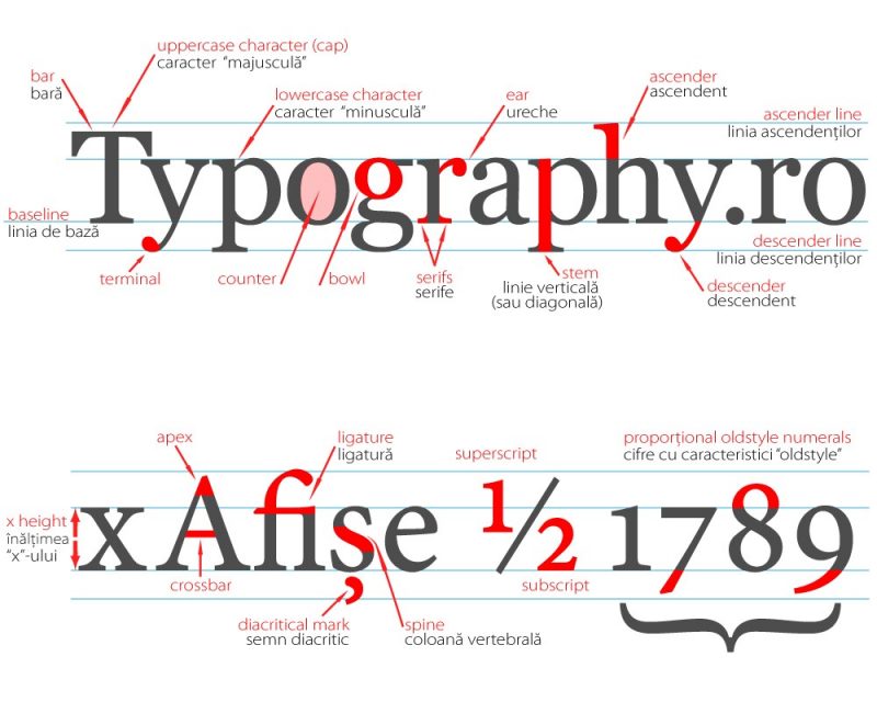 typography rules