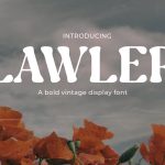 Vintage Font Lawler
