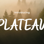 Handwriting Font PLATEAU