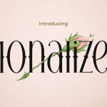 Instagram Font MONALIZED