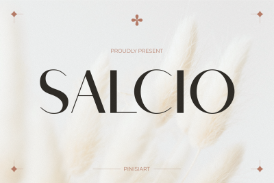 Instagram Font Salcio
