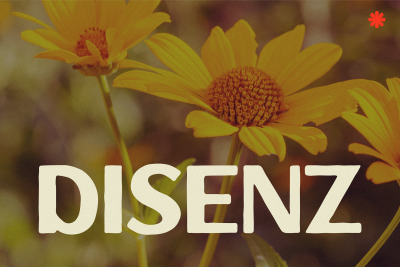 Retro Font DISENZ