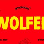 Instagram Font WOLFER