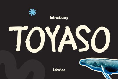 Kids Font Toyaso