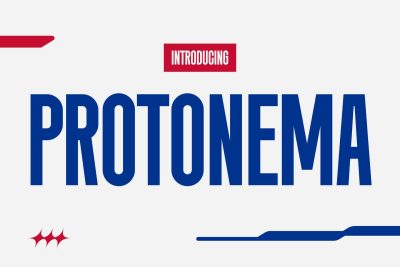Instagram Font Protonema