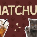 Instagram Font Matchuz