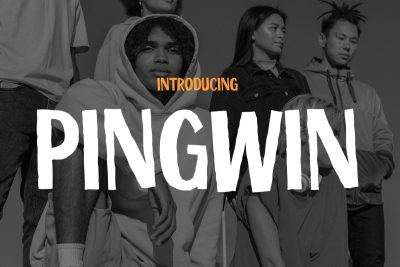 Kids Font Pingwin