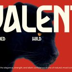 Modern Font Valent