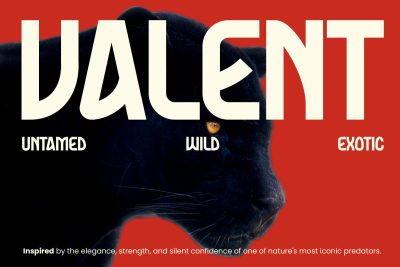 Modern Font Valent